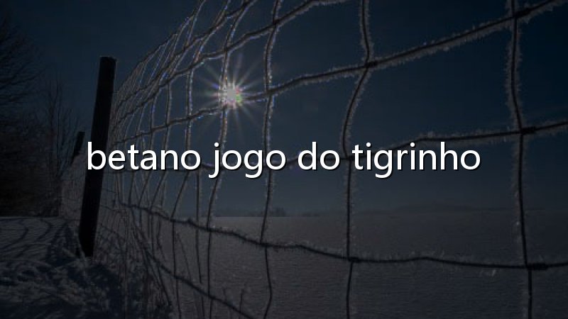 Regra do truco: domine a mesa e jogue com mais confiança